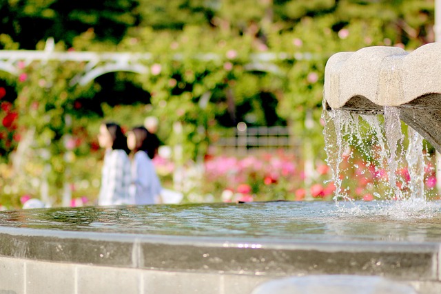 Free Fountain In May photo and picture
