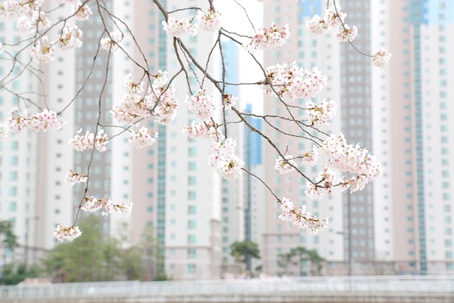 Free Flower Flower Background photo and picture