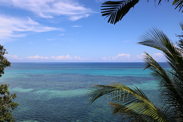 Free Beach Ocean photo and picture