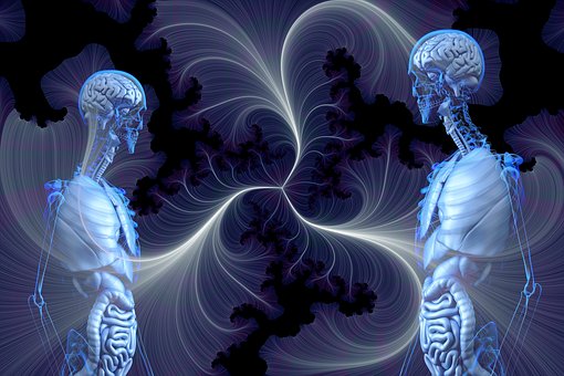 Anatomy, Human, Awareness, Transparency