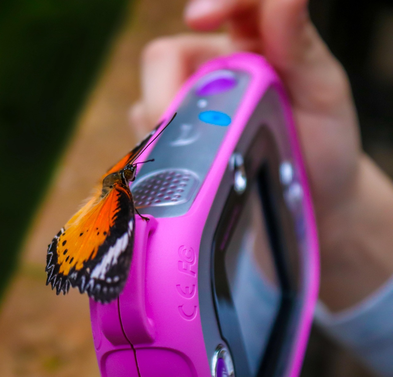 Butterfly Camera Child Close Free photo on Pixabay Pixabay