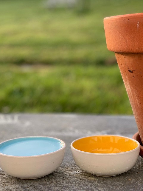 Free Bowl Pets photo and picture