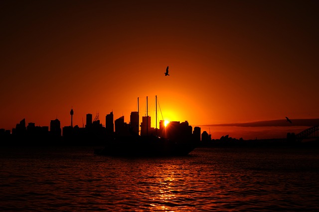 Sydney, sunset, evening sun and skyline — photo by Hans