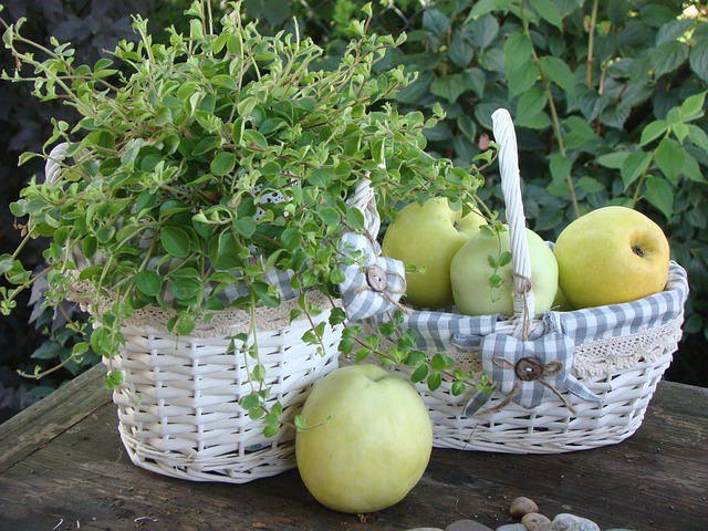 Free Shopping Cart Fruit photo and picture