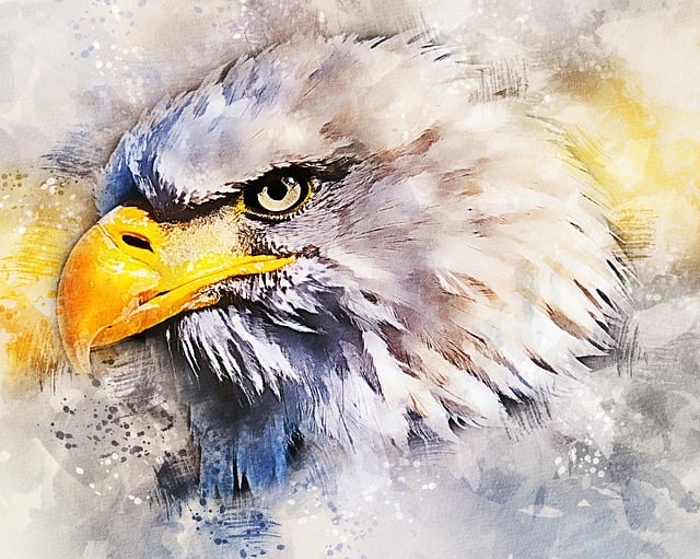 Free adler white tailed eagle bald eagle illustration