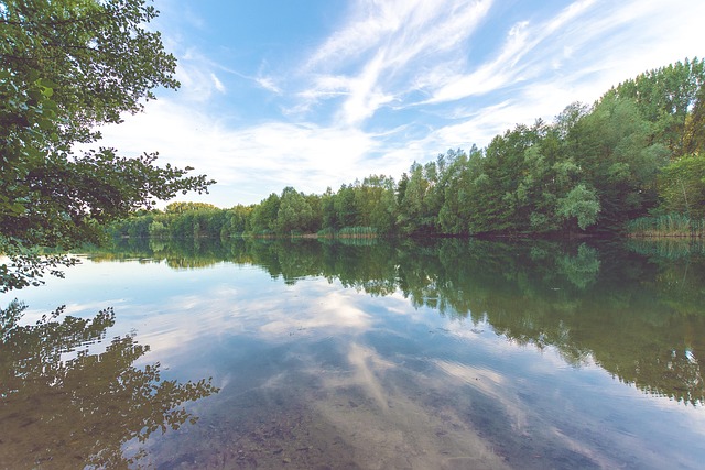 See, Wald, Wasser, Landschaft, Natur