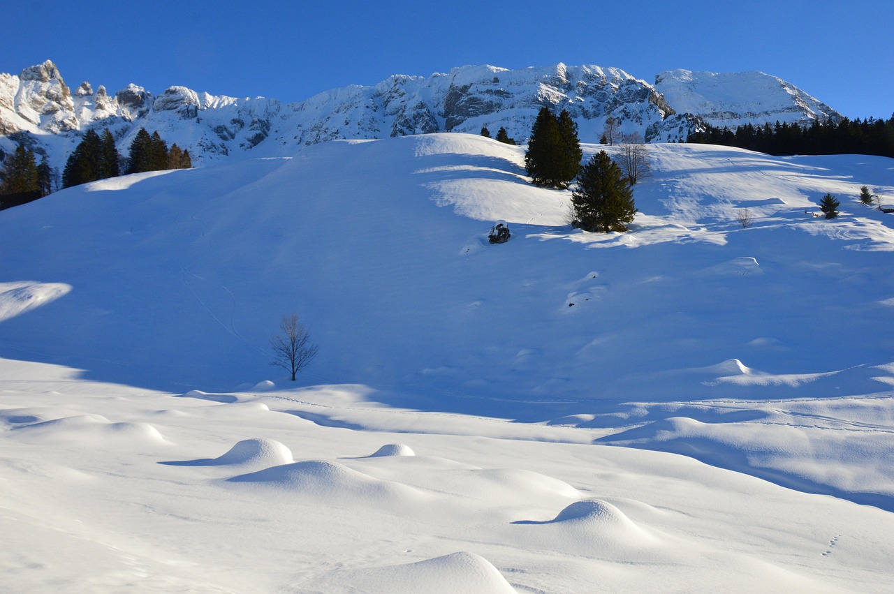 冬 雪 寒い - Pixabayの無料写真 - Pixabay