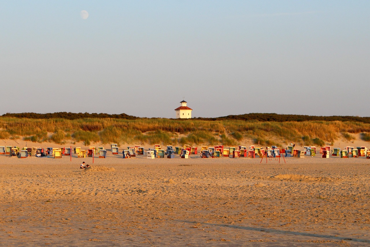 Longoog - free online jigsaw puzzle photo