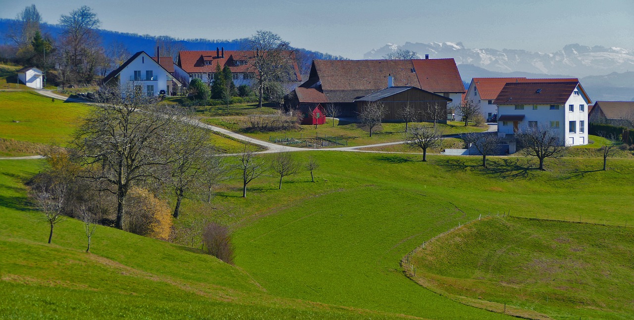 Nature - free online jigsaw puzzle photo