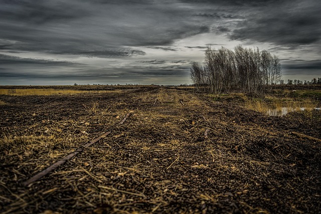 Horizon, Donker, Landschap, Wolken