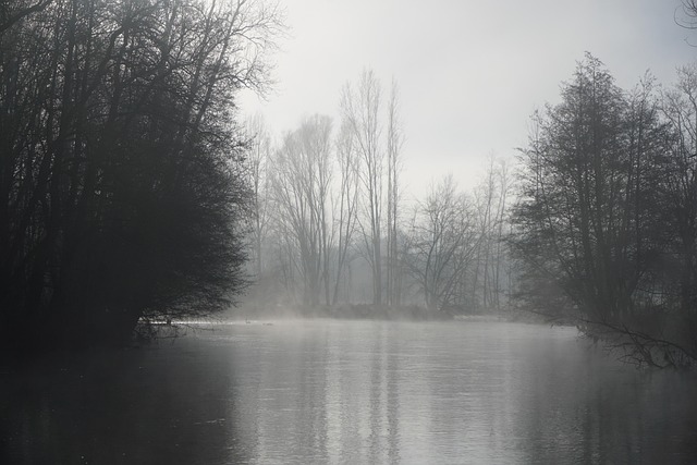 Free Pond Winter photo and picture