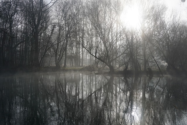 Free Winter Nature photo and picture