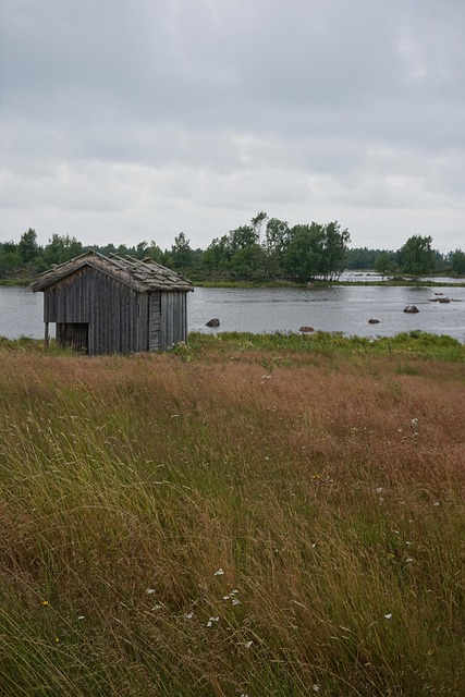 Free Cabin Nature photo and picture