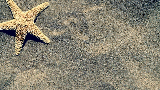 Free Starfish Sand photo and picture
