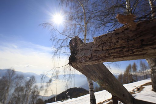 Free Sun Nature photo and picture