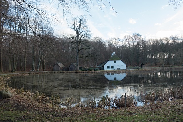 Sø, Mølle, Vandmølle, Vand, Landskab