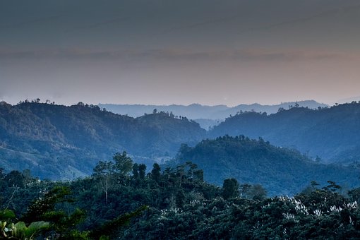 Free Bangladesh Landscape photo and picture