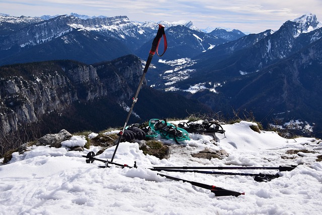 Free Snowshoes View photo and picture