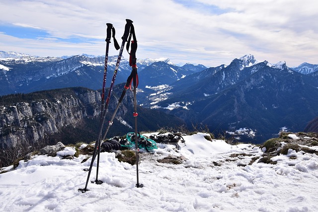 Free Snowshoes View photo and picture
