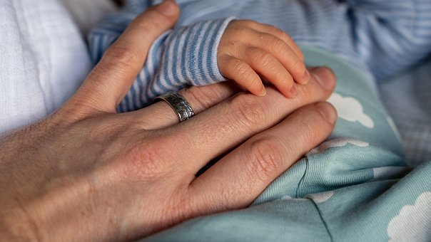 Niño, Amor, Cuidado, Proteger, Mano