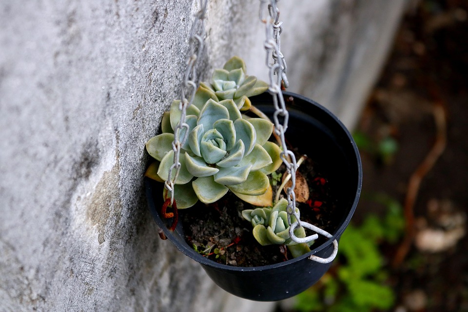 玫瑰石花瓶装饰品 Pixabay上的免费照片