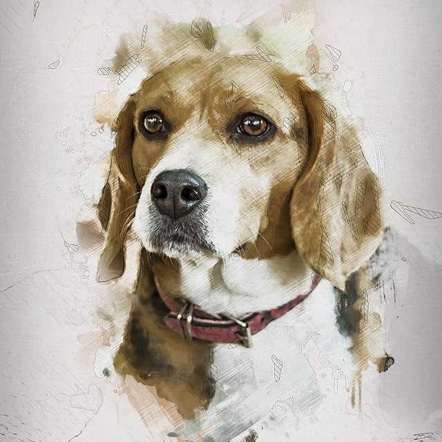 Free dog pregnant canine illustration