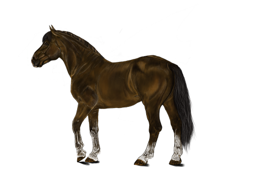 Free Horse Brown illustration and picture
