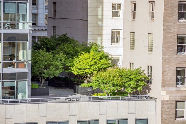 Free Trees Terrace photo and picture