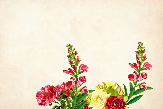 Free flower floral background illustration