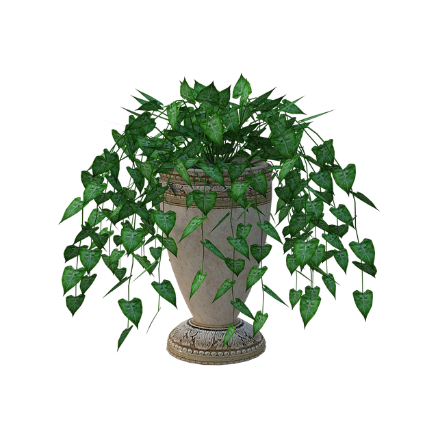 Free planter plant leaves illustration