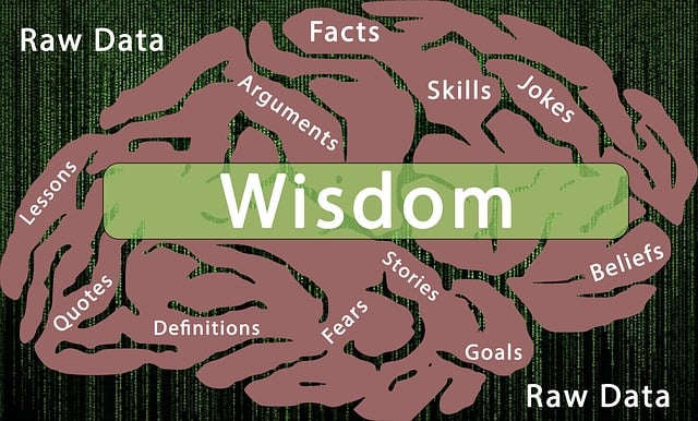 Free information processing wisdom facts illustration
