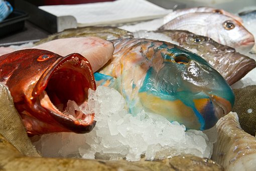 Fisk, Fiskestand, Tæller, Marked, Mad