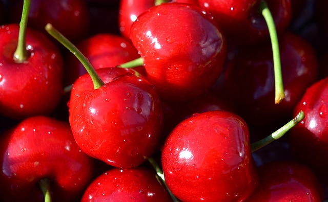Free Cherry Cherries photo and picture
