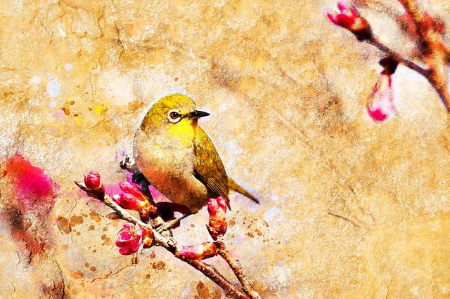 Free bird pattern floral illustration