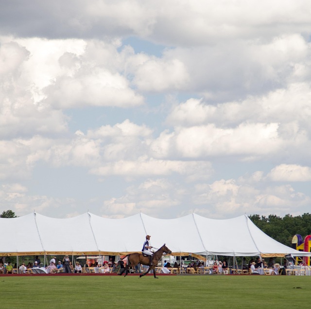 Free Polo Clouds photo and picture