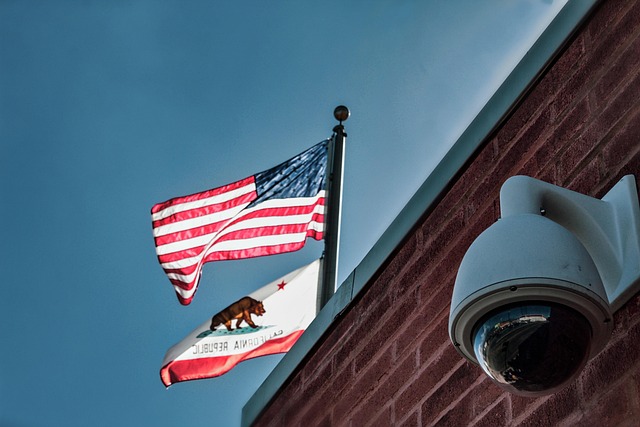 Free Flags American photo and picture