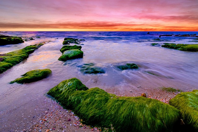 Free Sunset Ocean photo and picture