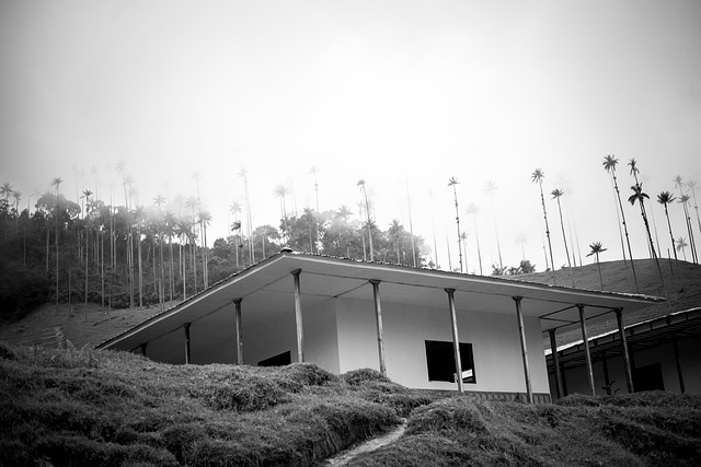 Free Cabin Black And White photo and picture