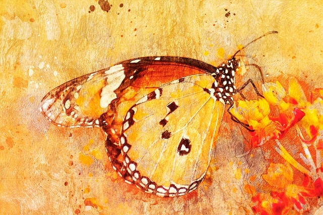 Free butterfly pattern floral illustration