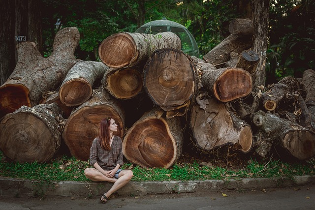 Vietnam, Árbol, Log, Niña, Olga, Ozik