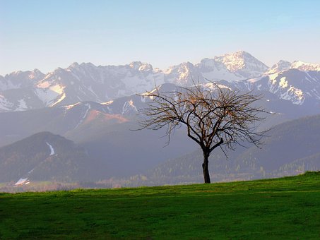 Tatry, Baum, Landschaft, Polen, Gebirge