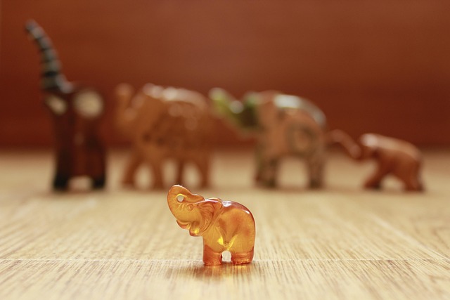 Free Elephant Amber photo and picture