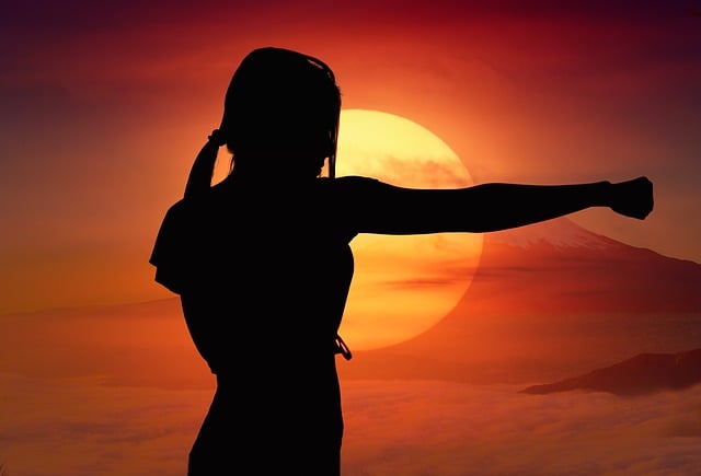 Free karate sun mountain illustration