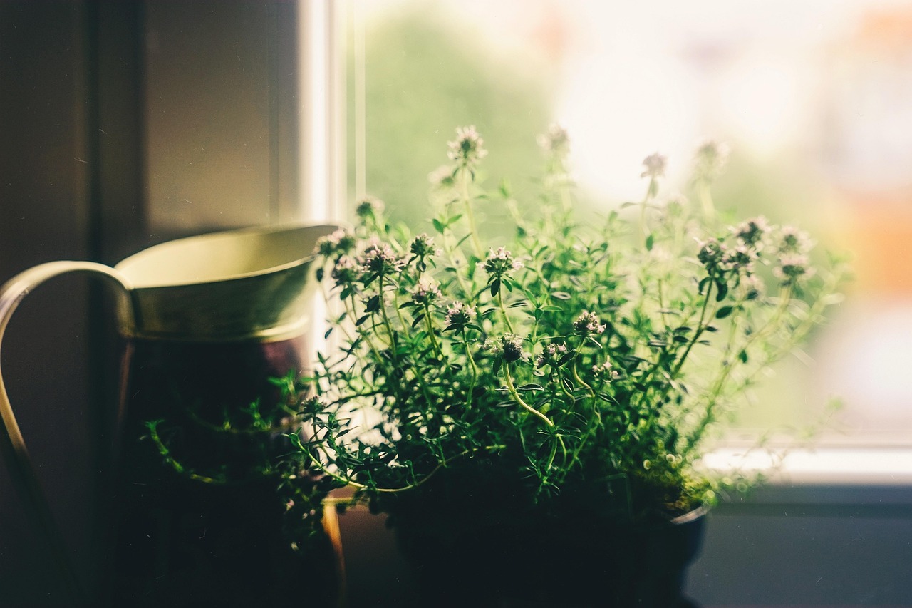 Flower - free online jigsaw puzzle photo