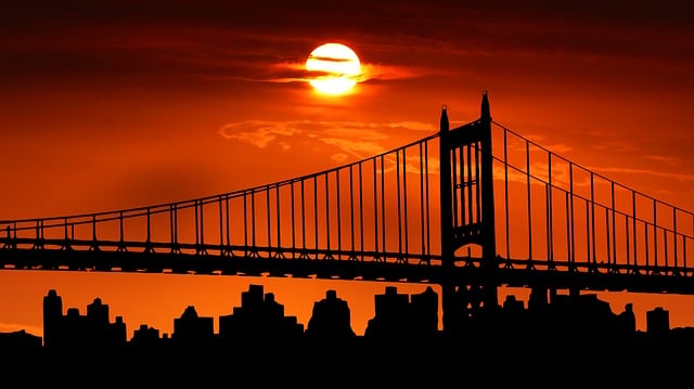 Free sunset bridge brooklyn illustration