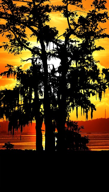 Free sunset nature america illustration