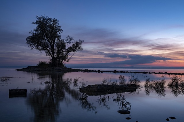 Hård, Sø, Træ, Solopgang, Solnedgang