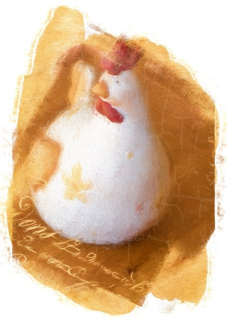 Free hen chicken to paint illustration