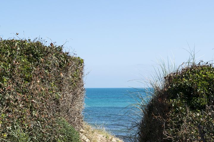 100+ Free Water Inlet & Water Images - Pixabay
