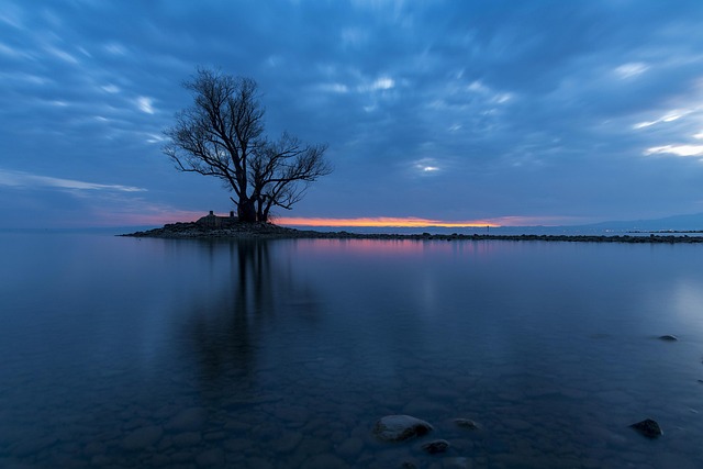 Træ, Solopgang, Solnedgang, Landskab